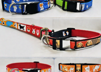 Collar perro personalizado: ¡Diseño único para tu mascota!